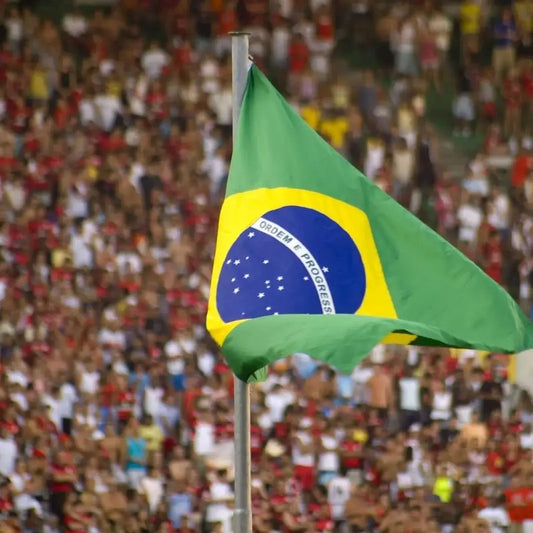 Large Brazil Flag 90x150cm Hanging Polyester Digital